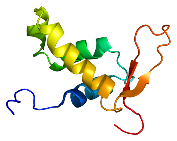 FOX04-DRI 10mg - Image 3